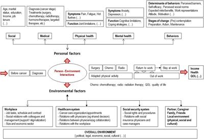 Developing a Return to Work Intervention for Breast Cancer Survivors with the Intervention Mapping Protocol: Challenges and Opportunities of the Needs Assessment